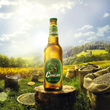 Load image into Gallery viewer, Ciucas Premium Beer (Romanian)