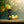 Load image into Gallery viewer, Fonti Di Crodo Limonata (Italian Lemonade)

