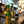 Load image into Gallery viewer, Sarajevsko Radler Lemon Beer
